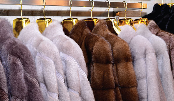 7. Choice of Furs by Audacious Furs