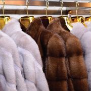 7. Choice of Furs by Audacious Furs