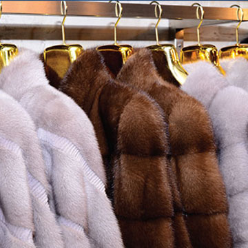 7. Choice of Furs by Audacious Furs